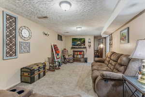 Finished Basement with wood-burning stove.