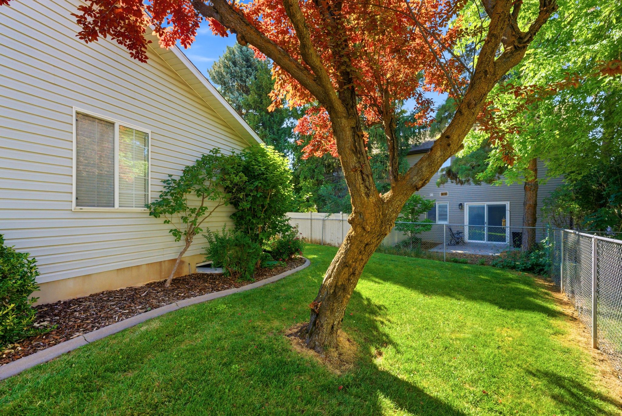 Expansive backyard featuring a manicured lawn, mature trees, and a concrete patio