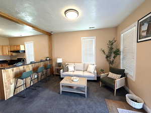 Living room with dark colored carpet and baseboards