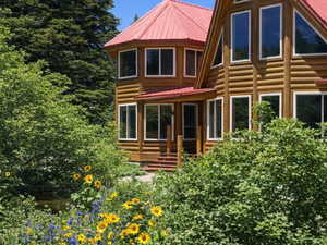 photo enhanced with chatgpt