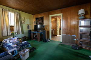 Living room featuring carpet flooring and wooden walls