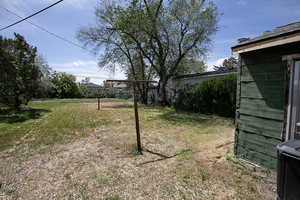 View of grassy yard
