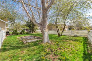 View of fenced backyard