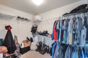Walk in closet featuring carpet floors