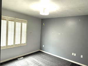 Carpeted spare room with baseboards and a textured ceiling