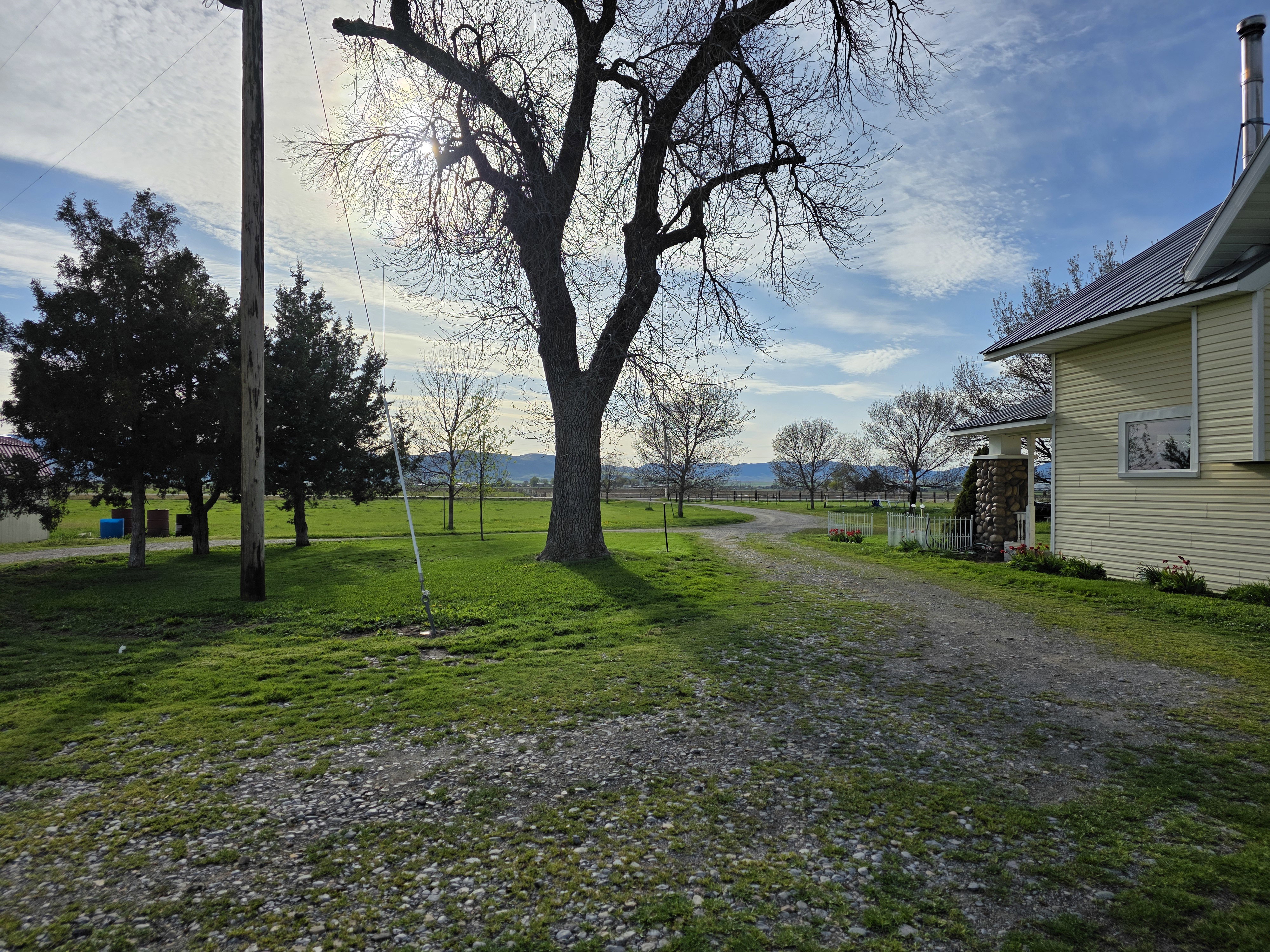 View of yard with a mountain view and driveway
