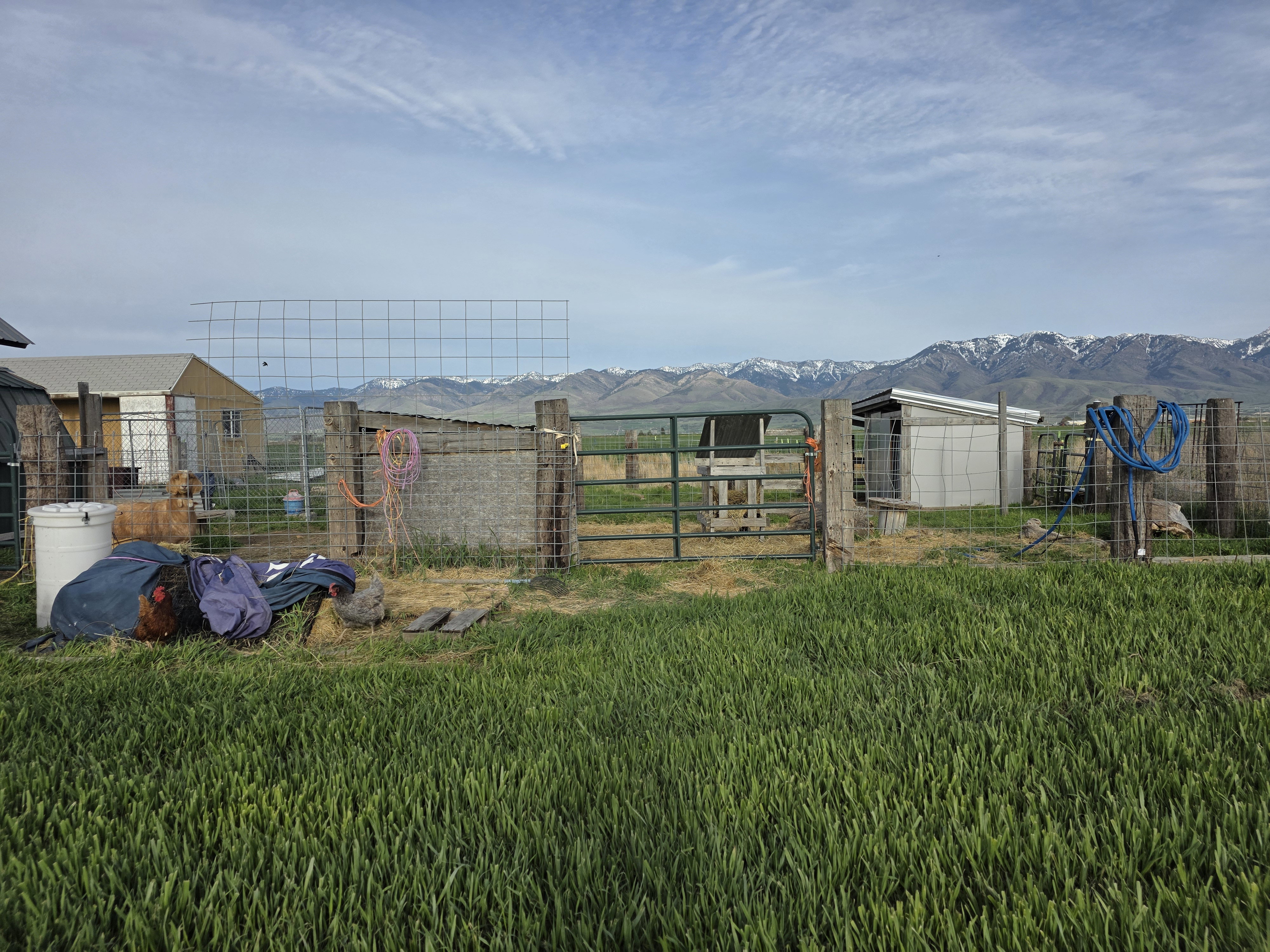 View of yard featuring an outdoor structure and a mountain view