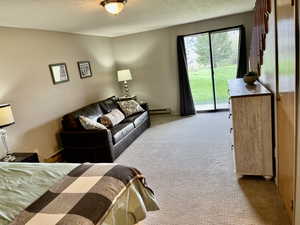 Lower Level living/sleeping area with patio walkout