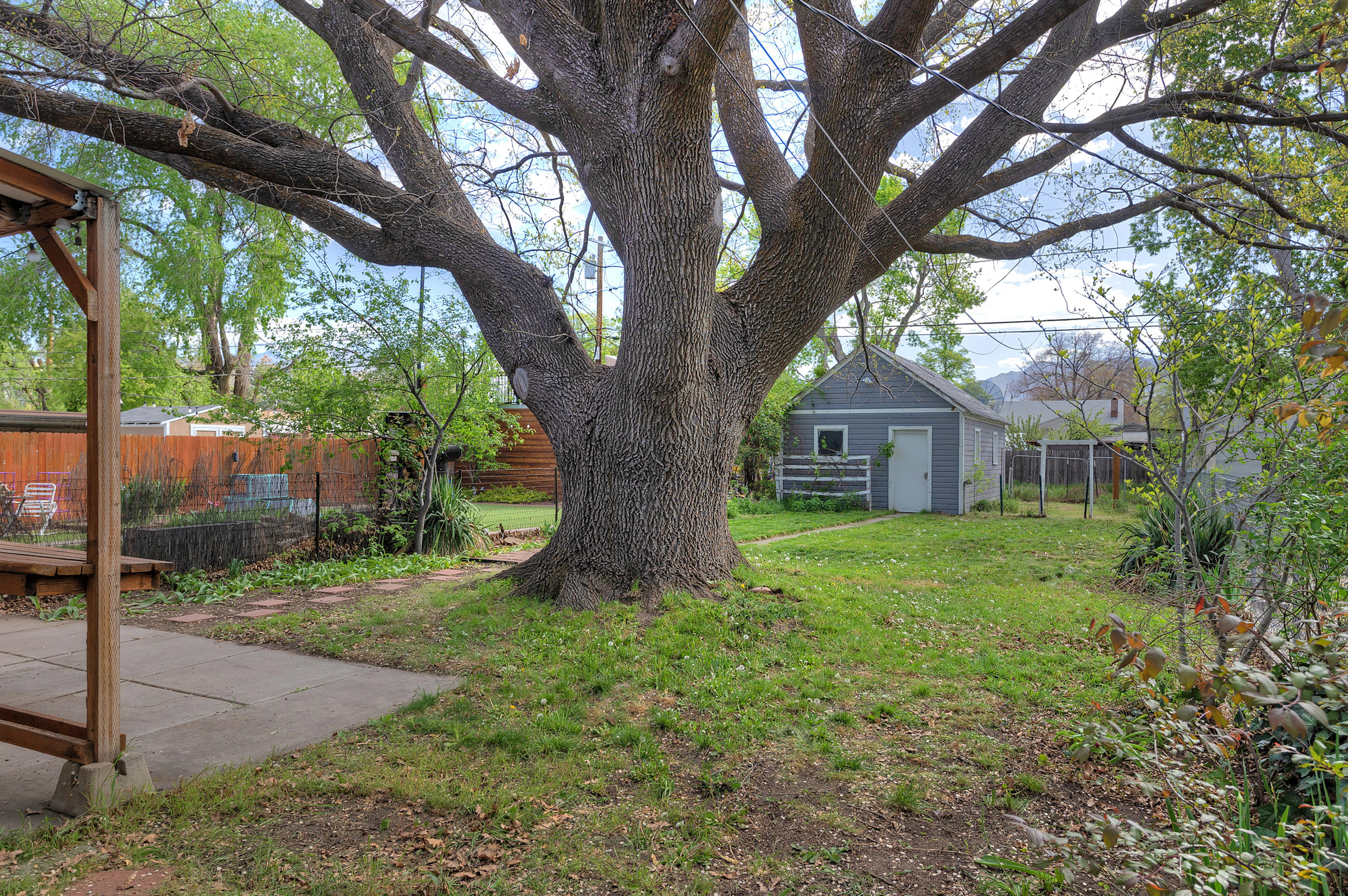 View of fenced backyard