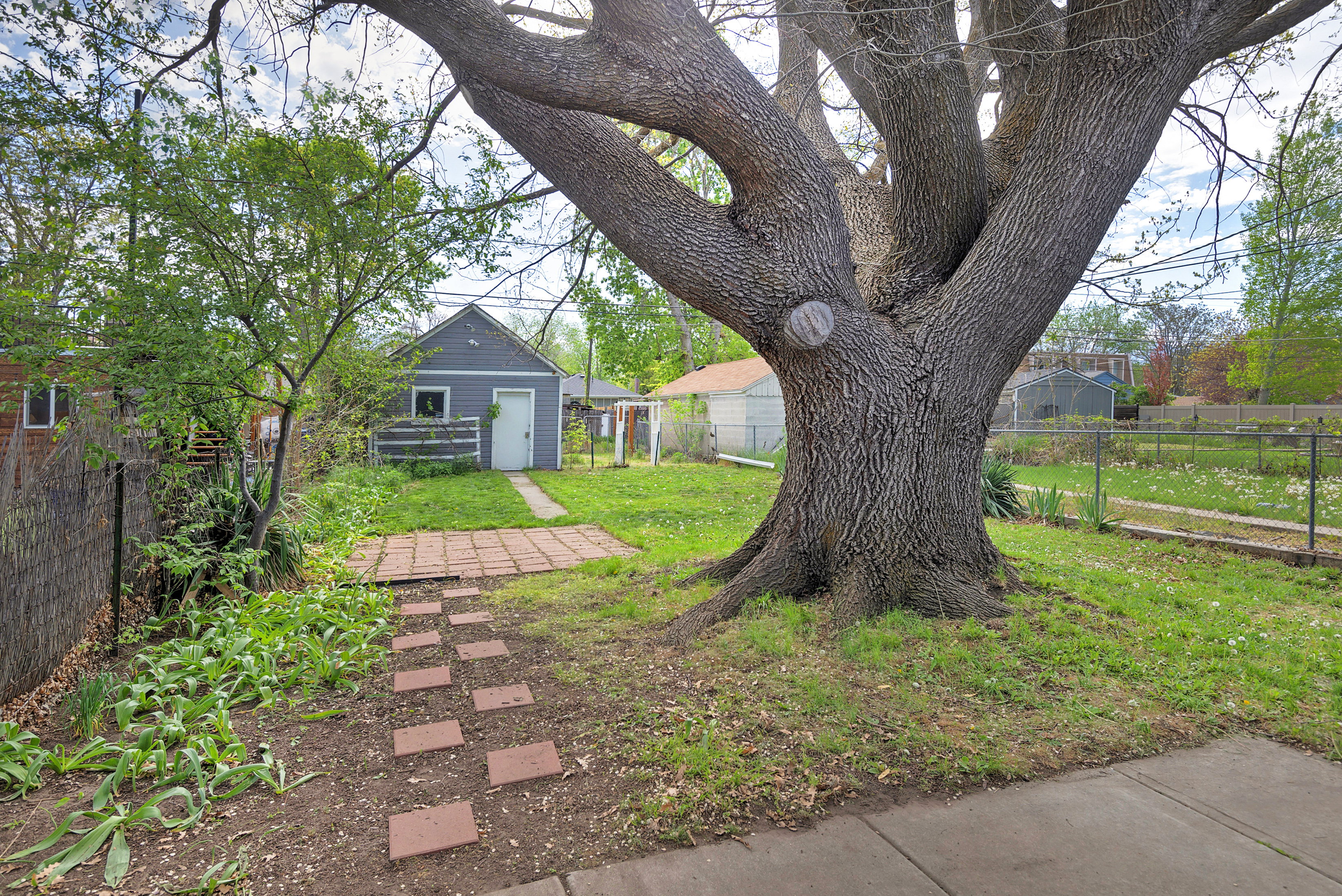 View of fenced backyard