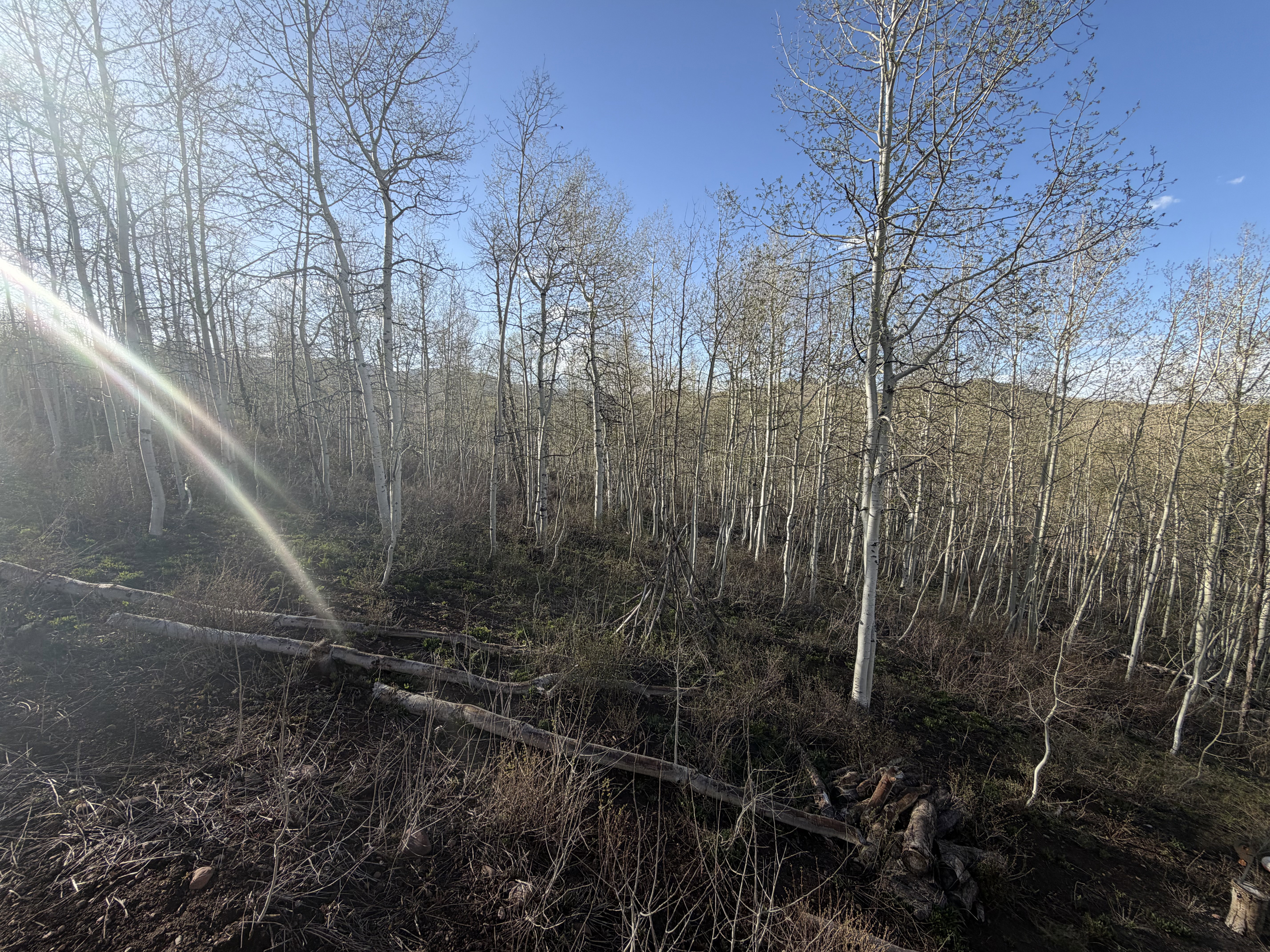 View of undeveloped land