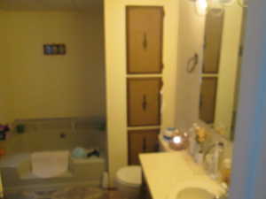 Bathroom featuring a garden tub and vanity