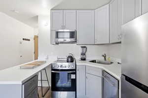 Kitchen featuring stainless steel appliances, gray cabinetry, and a peninsula