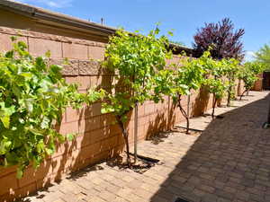 Fenced backyard with a patio