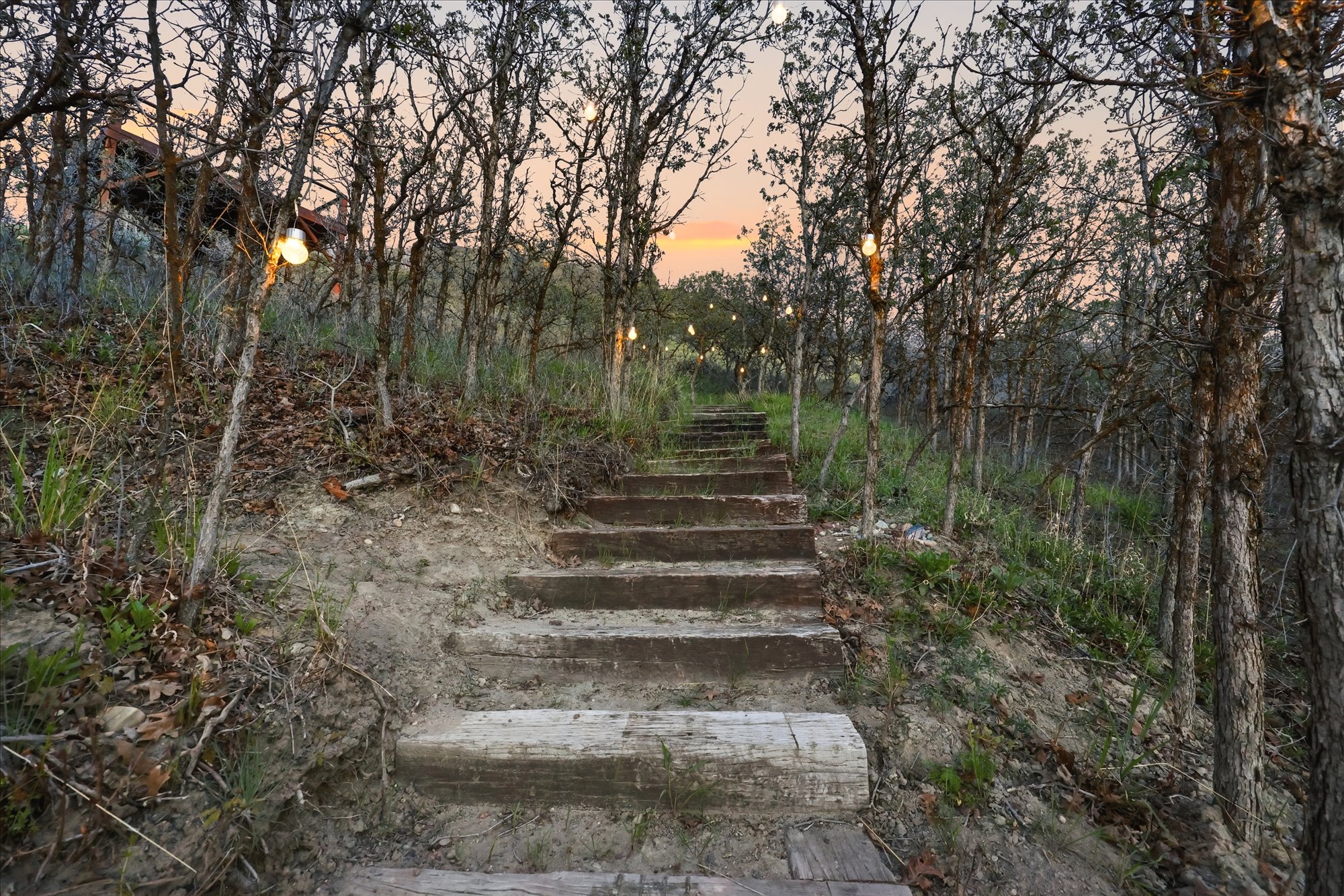 View of stairway