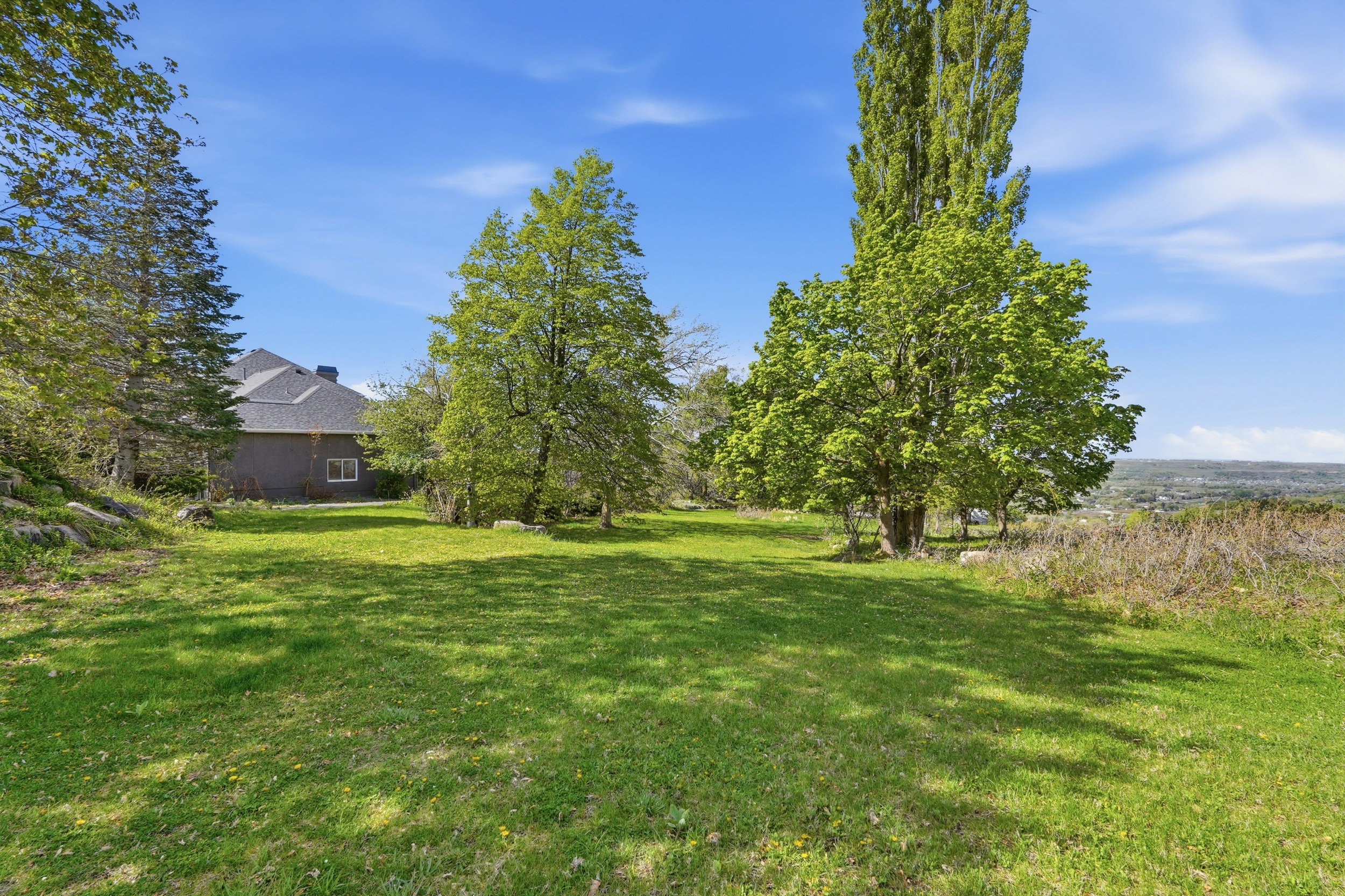 Side yard