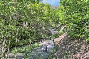 Year-round spring-fed stream. The property contains a significant amount of stream running down Spring Creek Canyon. Fencing was placed for former large animals on the property and does not depict property boundaries.