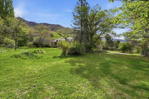 View of grassy yard with a mountain view