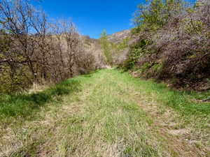 Wooded property