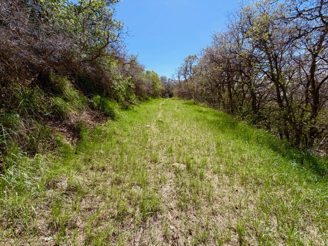 Wild Area on property