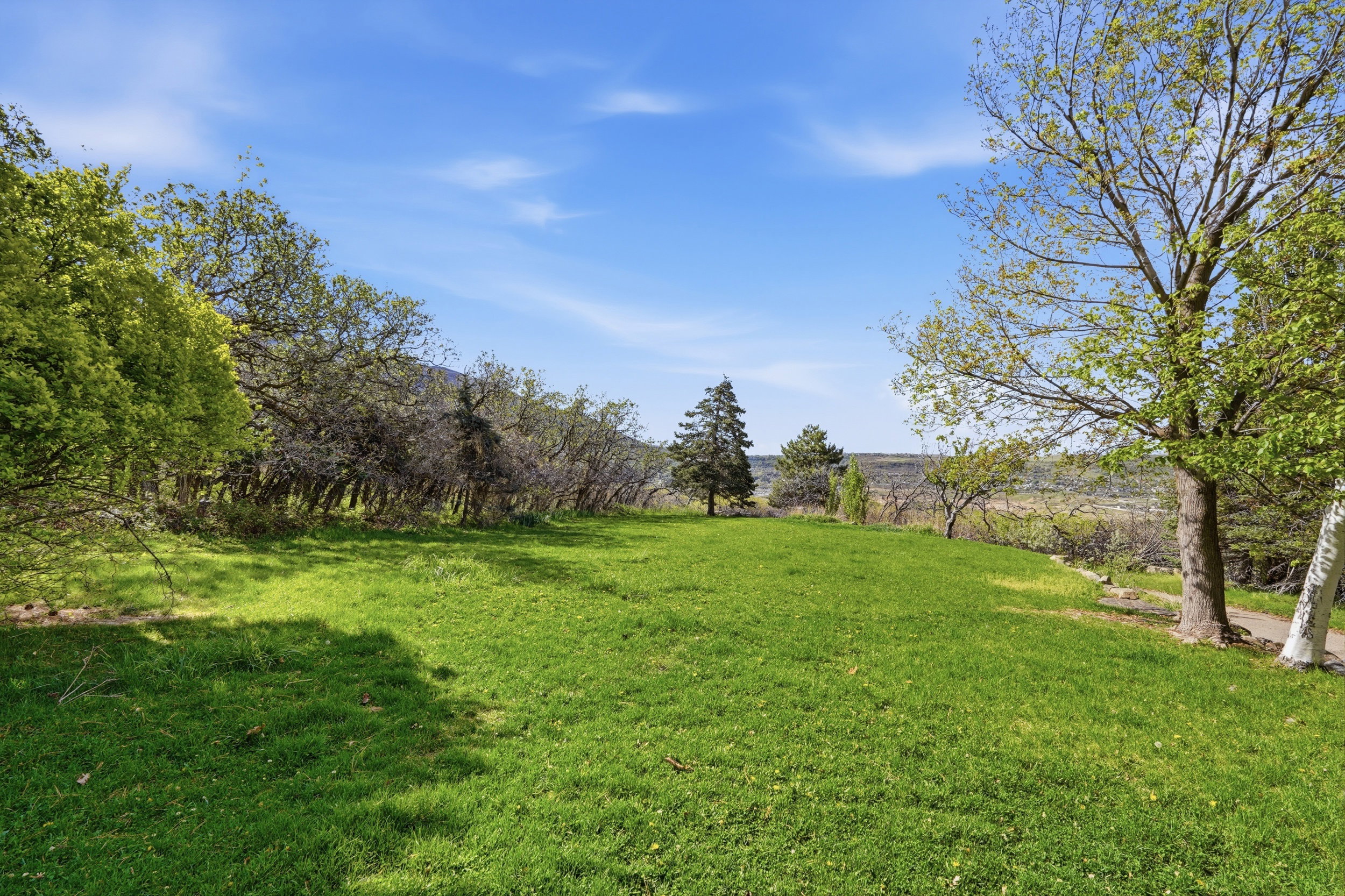 View of green lawn
