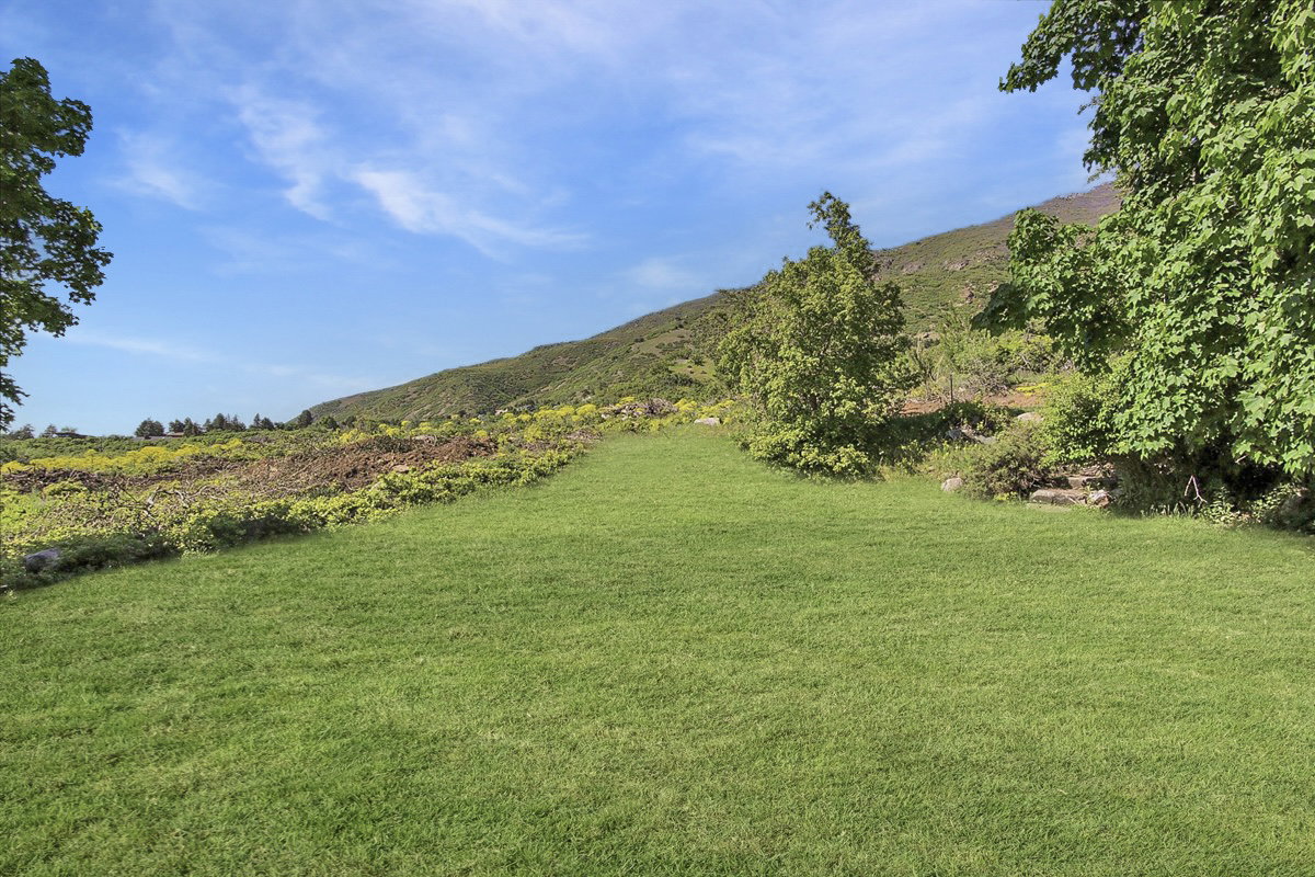 View of green lawn