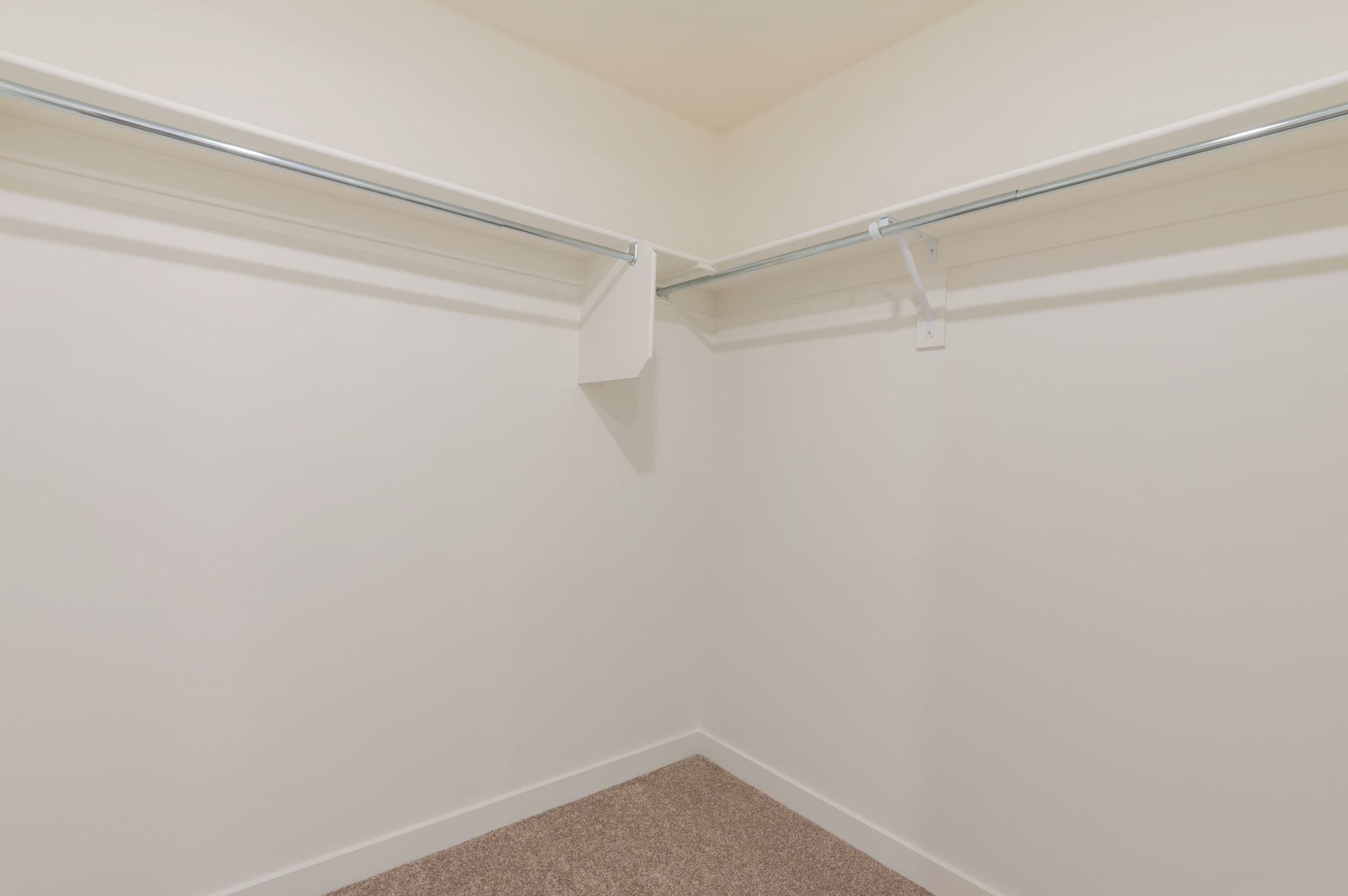 Walk in closet featuring carpet