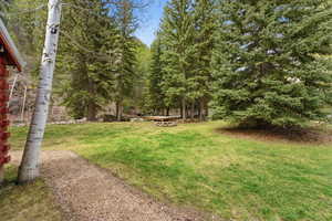 View of grassy yard with view of scattered trees