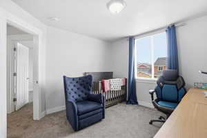 Office with baseboards and light colored carpet