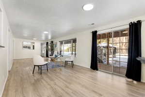 Basement living room facing back yard