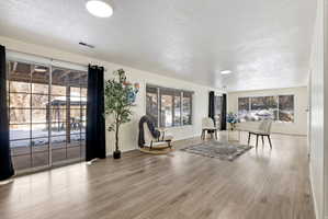 Basement living room facing the back yard