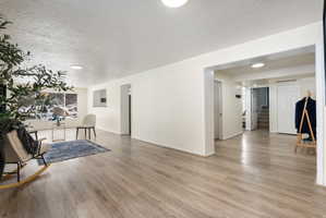 Basement Living Room