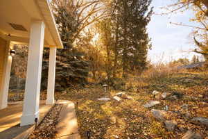 View of front yard