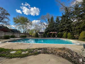View of swimming pool featuring a fenced backyard, patio surround, and a diving board