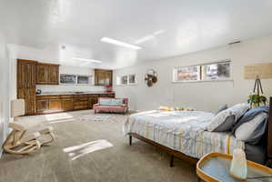 Basement bedroom