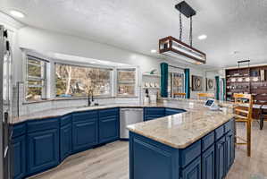 Kitchen facing back yard