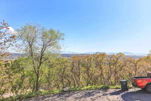 Mountain view with a heavily wooded area