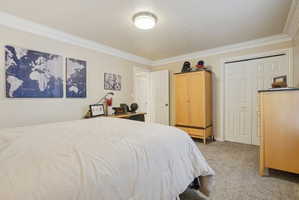 Bedroom featuring a closet, light carpet, and ornamental molding