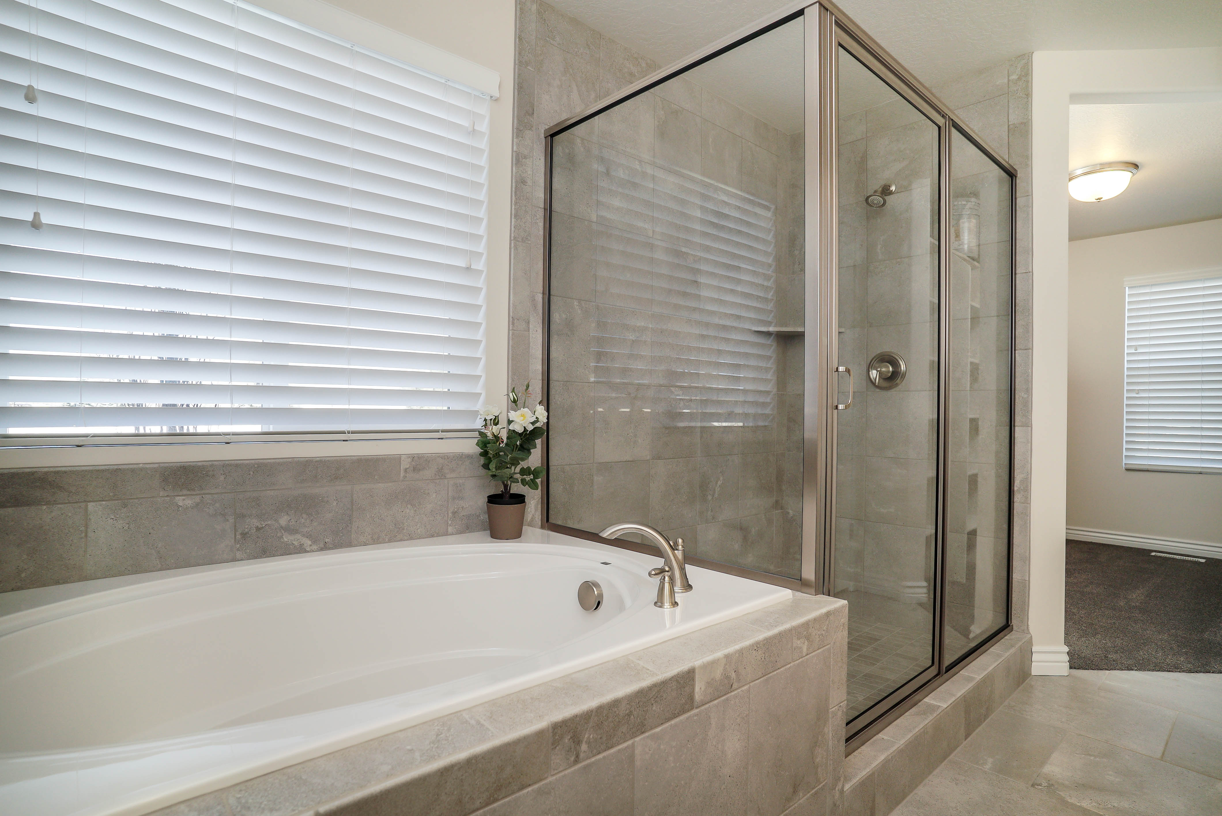 Separate Soaker Tub & Shower
