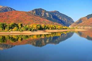 pineview just mminutes away