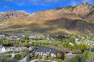 Aerial view of residential area with a mountain backdrop