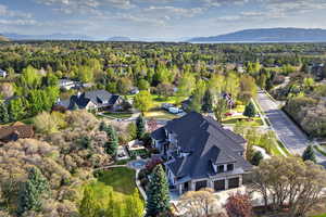 Aerial perspective of suburban area with a mountain backdrop