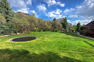 View of green lawn with a trampoline and view of scattered trees