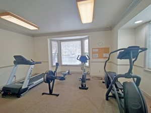 Workout room featuring crown molding