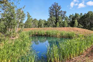 3 Gorgeous ponds on the property