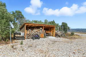 Wood shed and storage