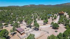 Bird's eye view of mountains and a heavily wooded area