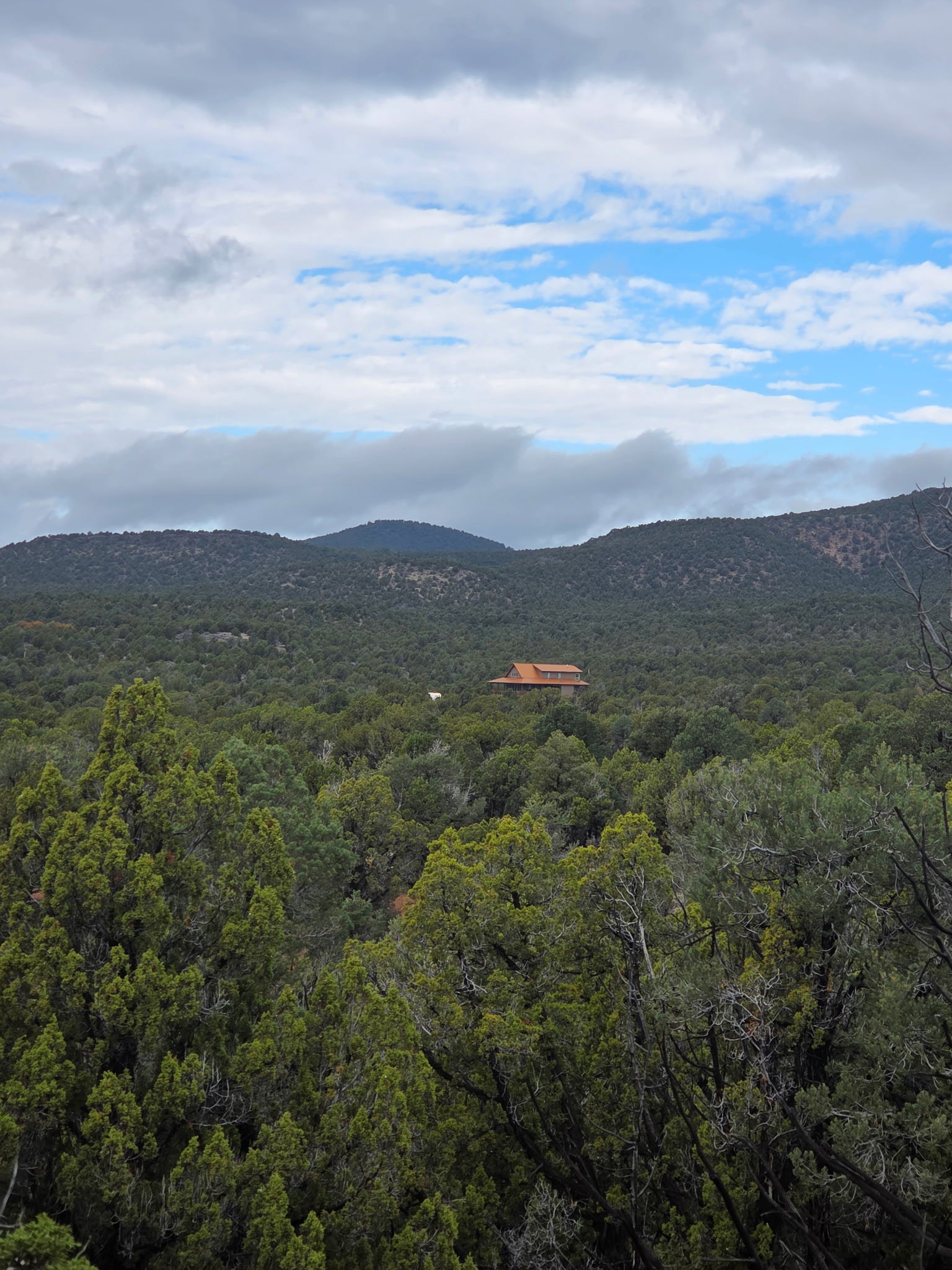 View of mountain backdrop featuring a forest