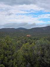 View of mountain backdrop featuring a forest