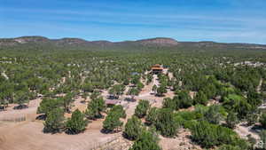 Aerial view of a mountain backdrop and a heavily wooded area
